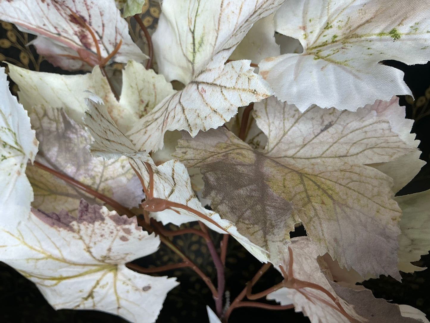 Grape leaf spray, FL7031-CBRN