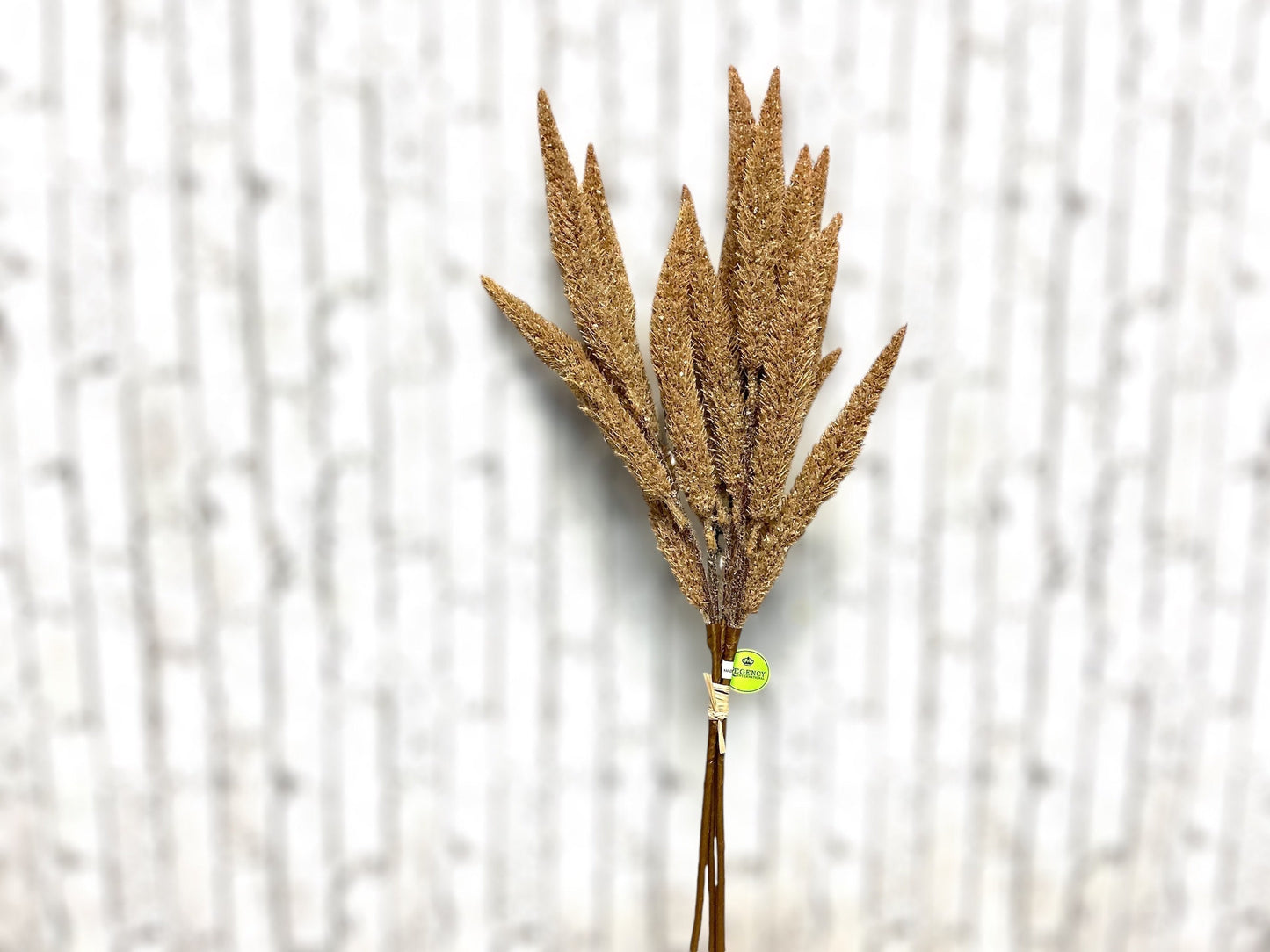 Brown Flocked Foxtail Grass Bundle x3, 24”, MTF23862