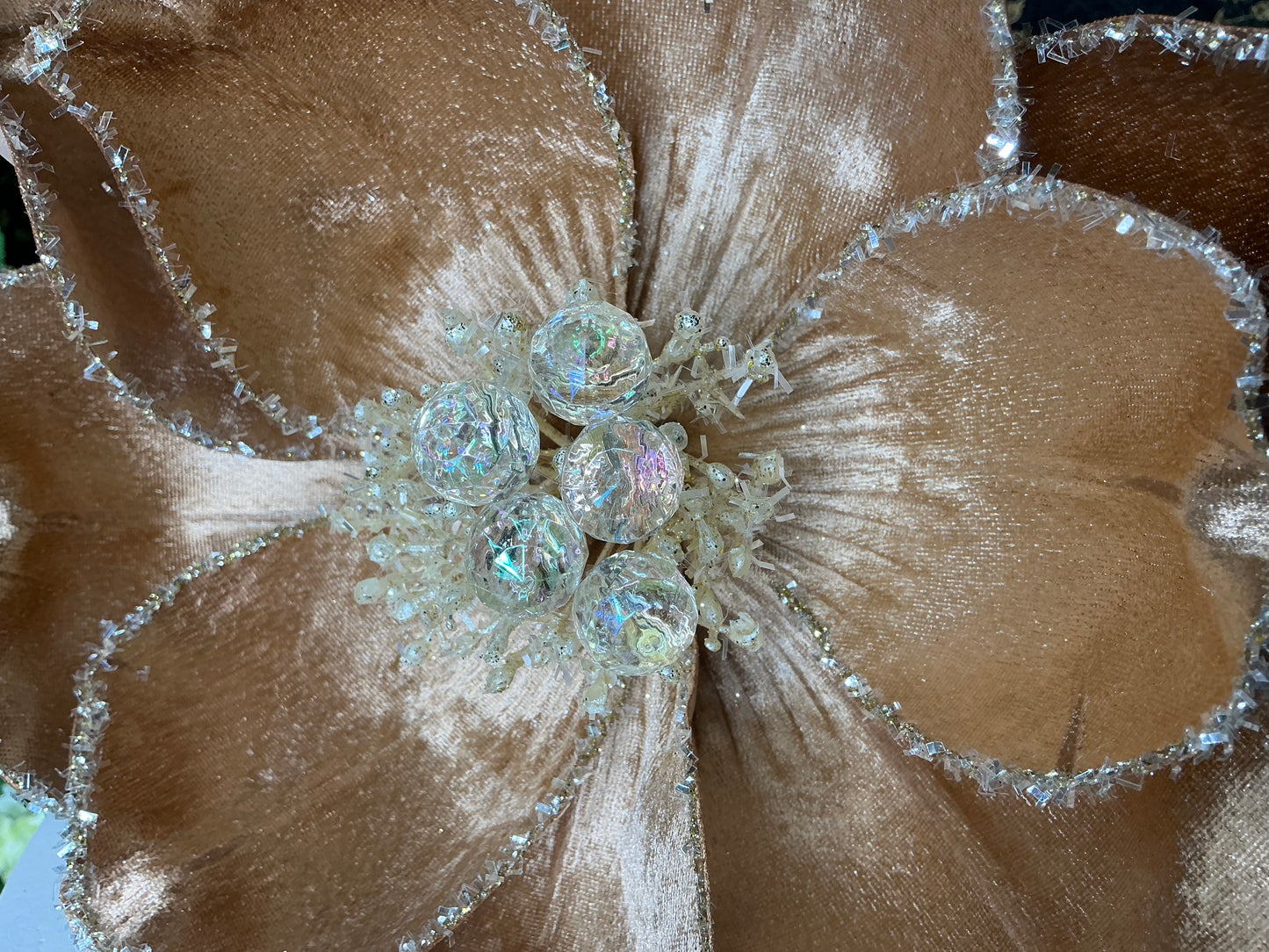 Jeweled Magnolia, Cappuccino, CF111-29