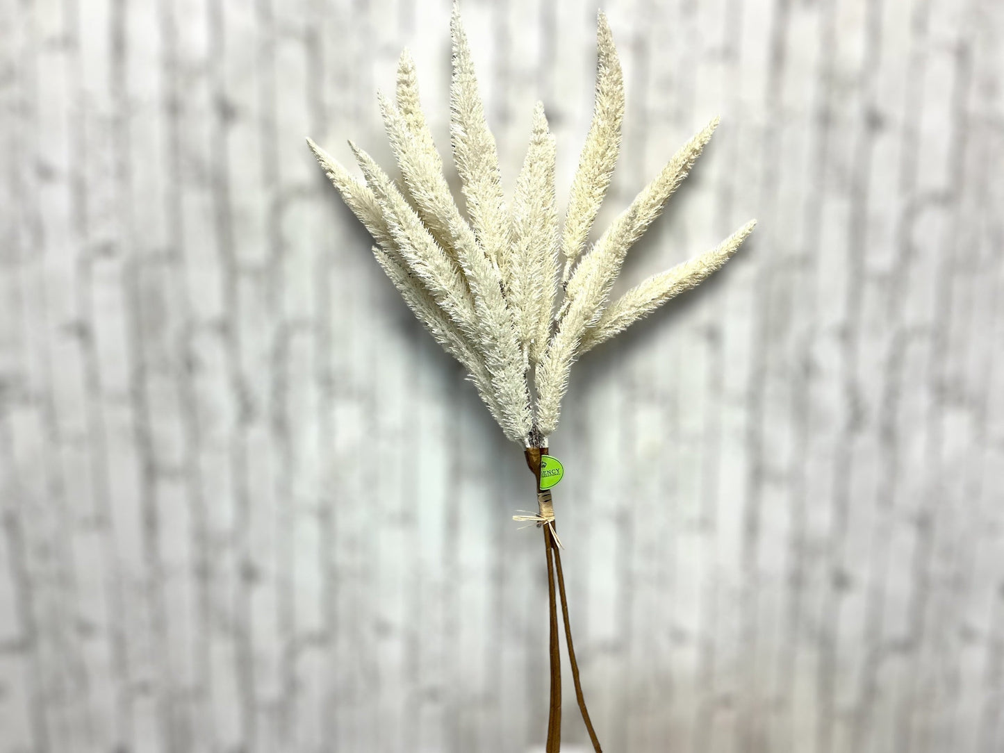 Cream Flocked Foxtail Grass Bundle x3 24”, MTF23862