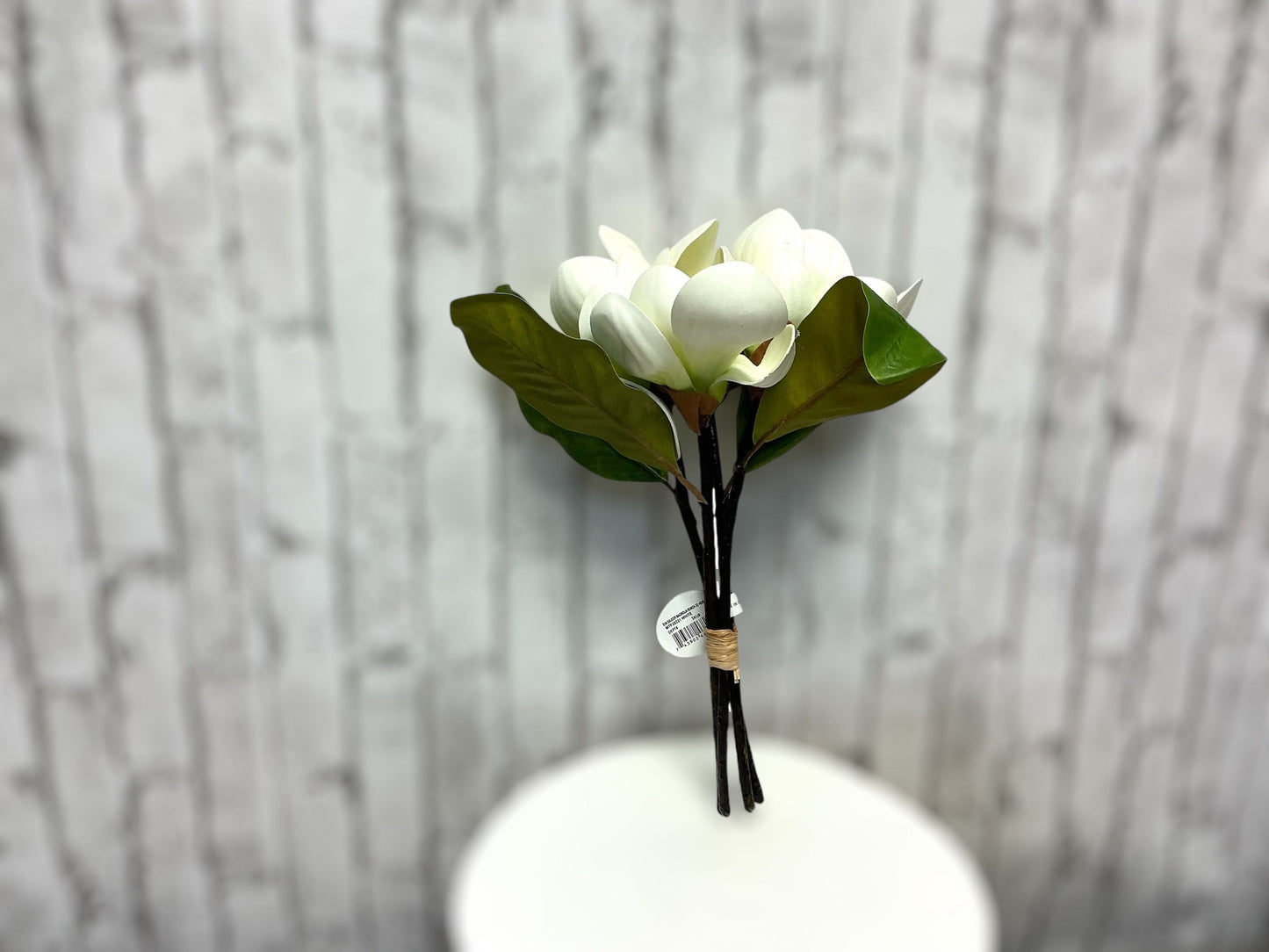 Eva Saucer Magnolia Bunch, 11”, MTF20221