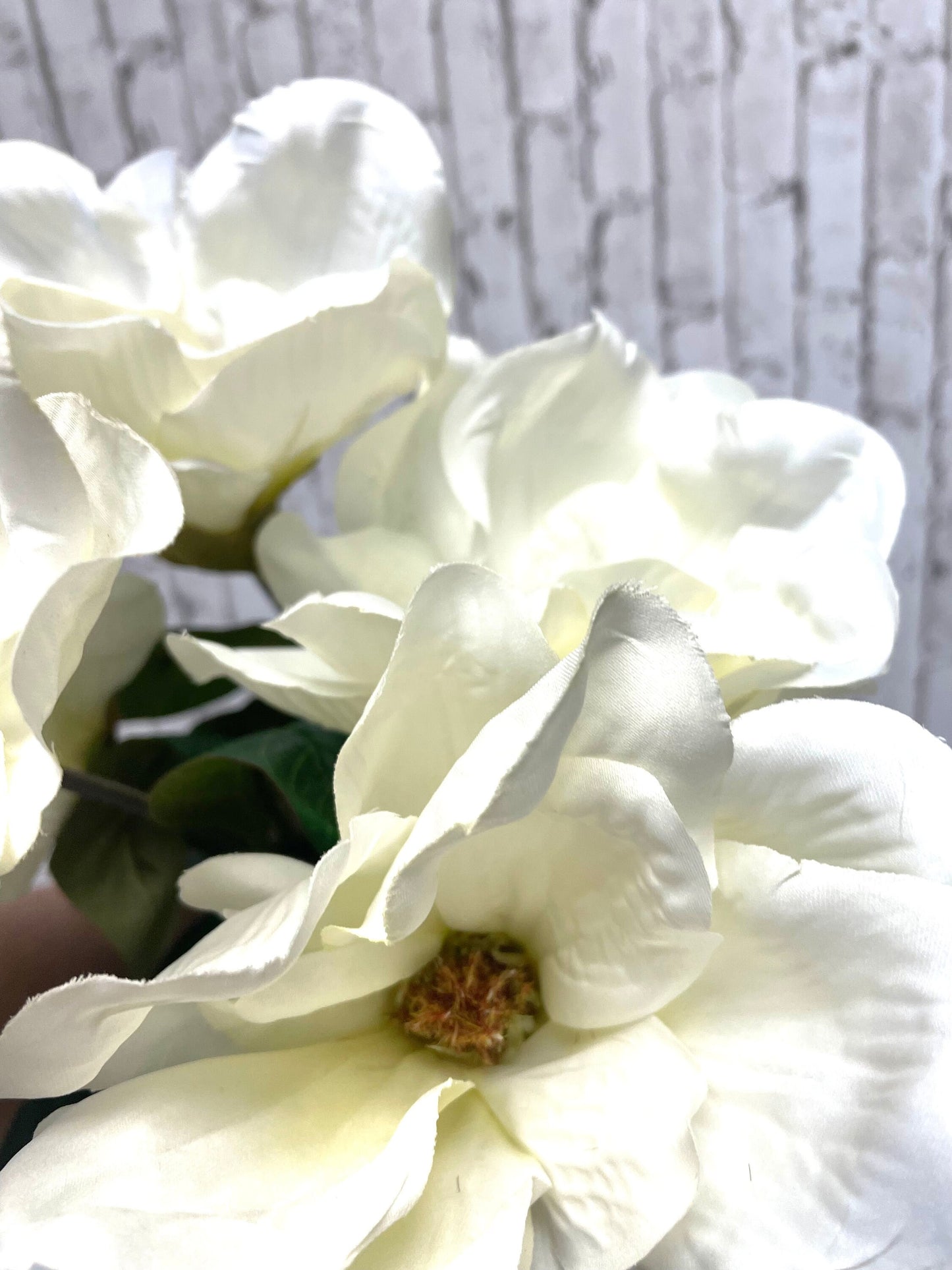 White silk magnolia bush, 30494CM