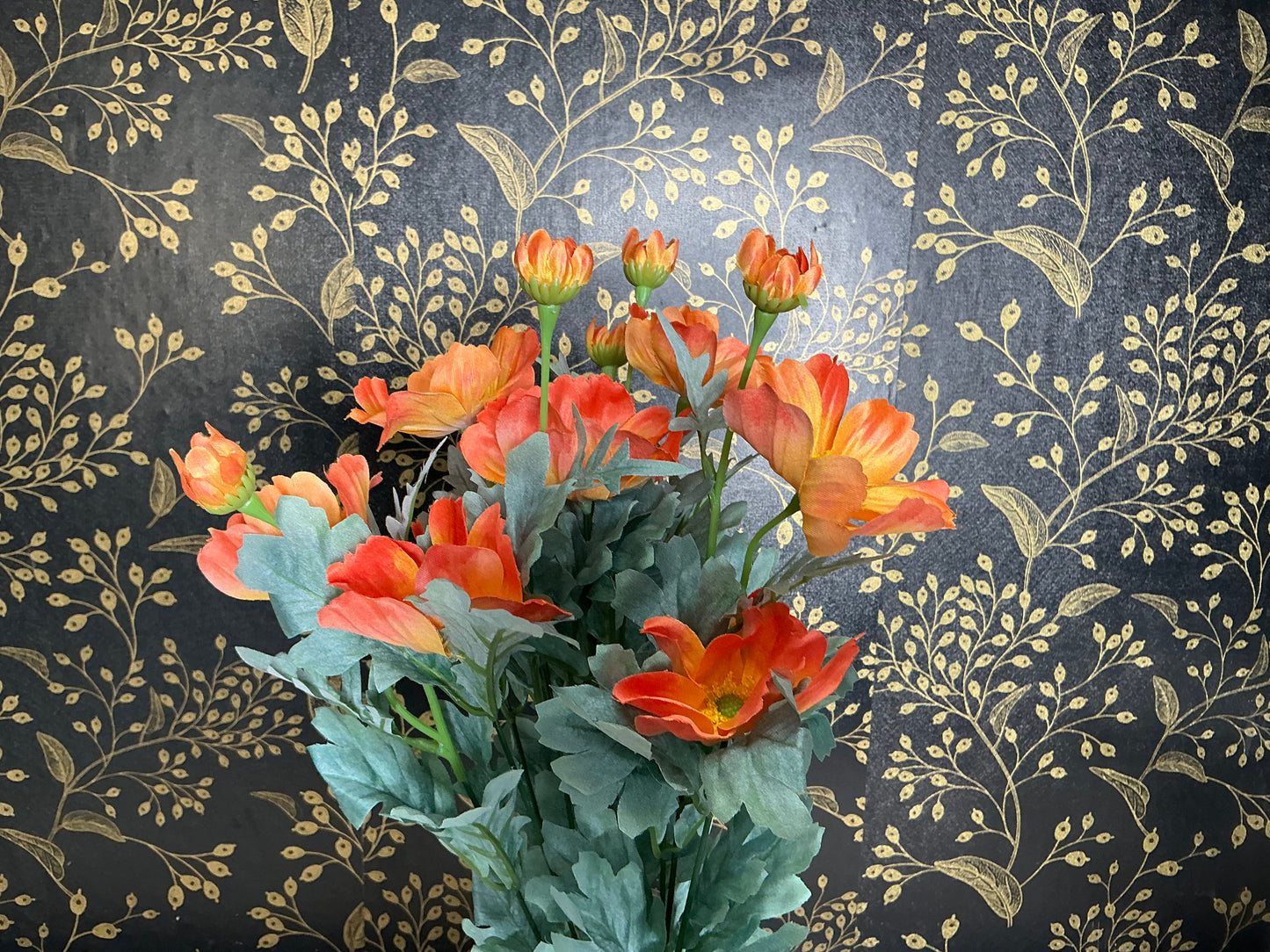 Orange Cosmos Bush