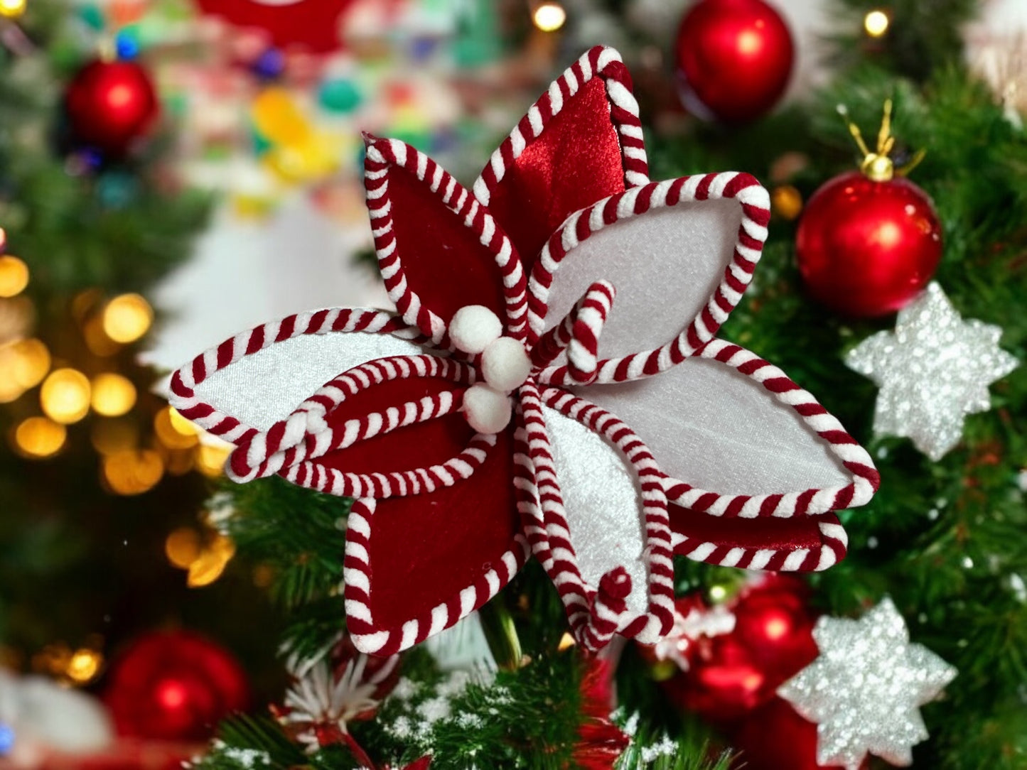 Red/White Poinsettia, XS4026
