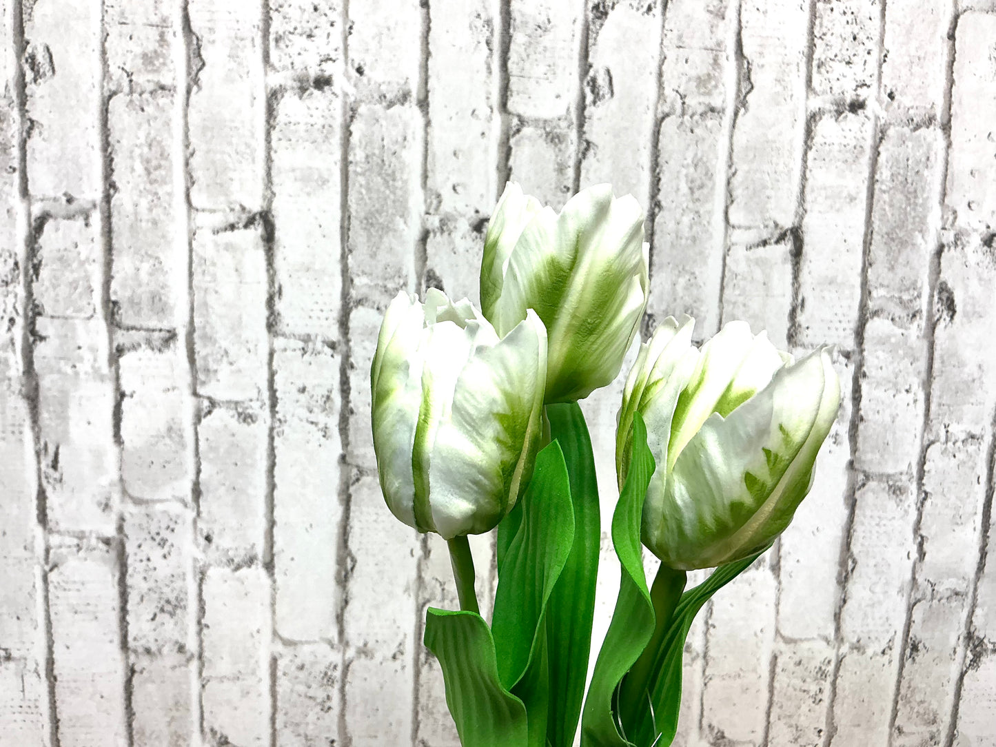 White tulip bundle, F4502140