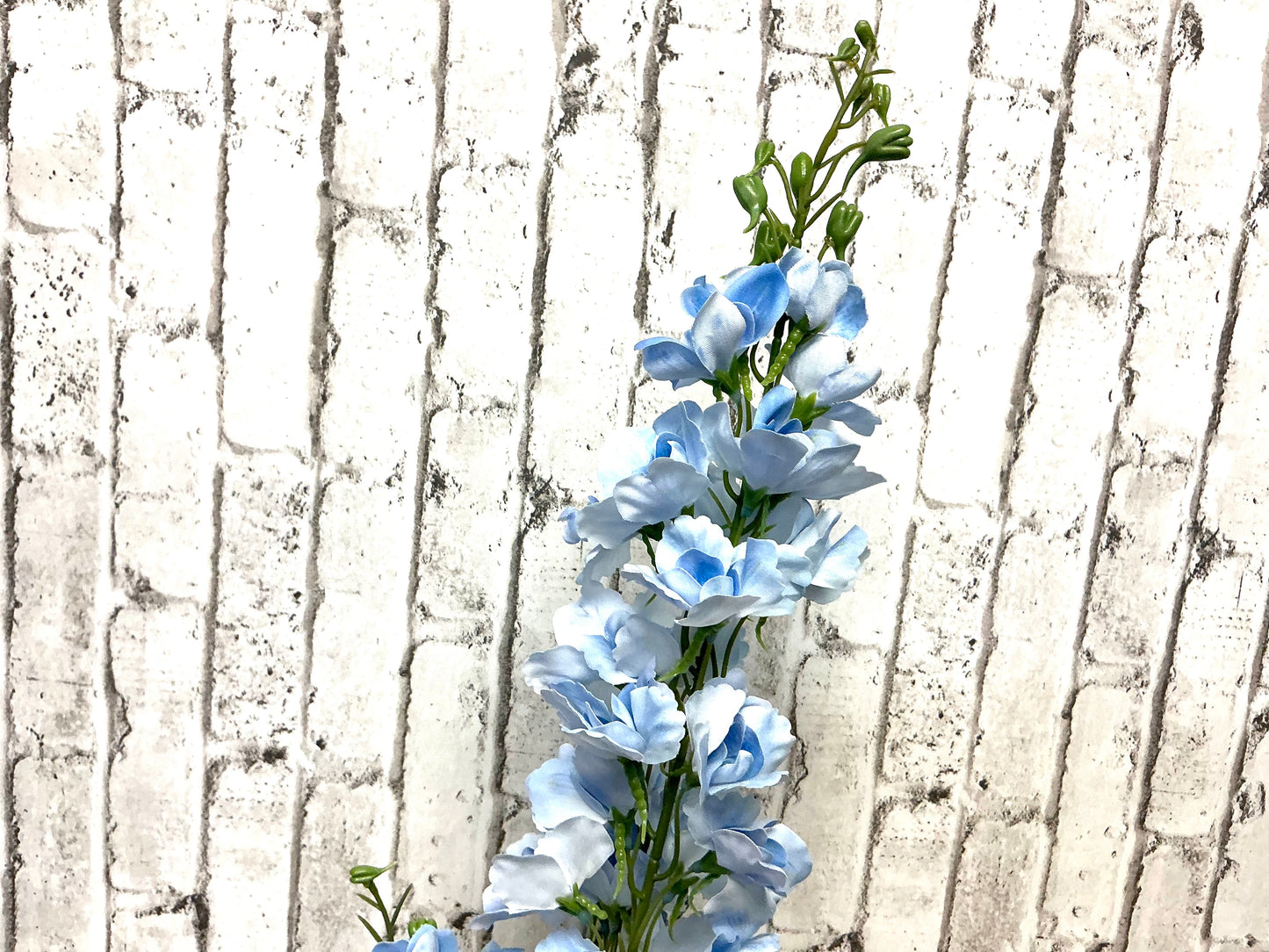 Soft touch delphinium spray, MTF24420