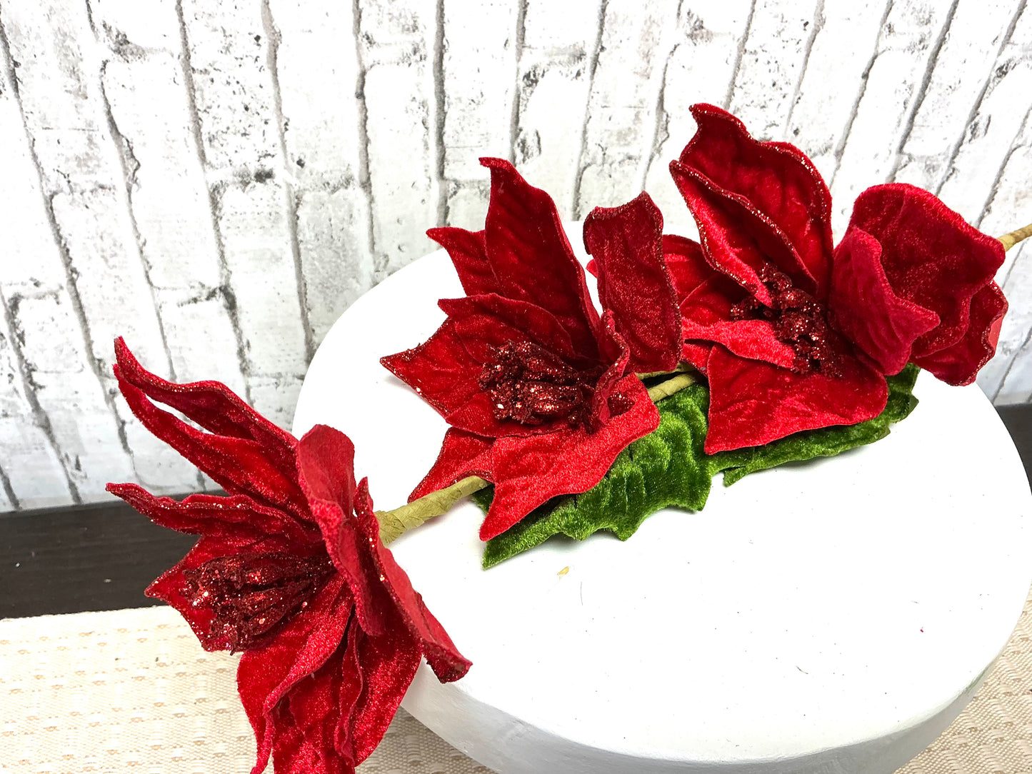 Small Poinsettia stem, 127995