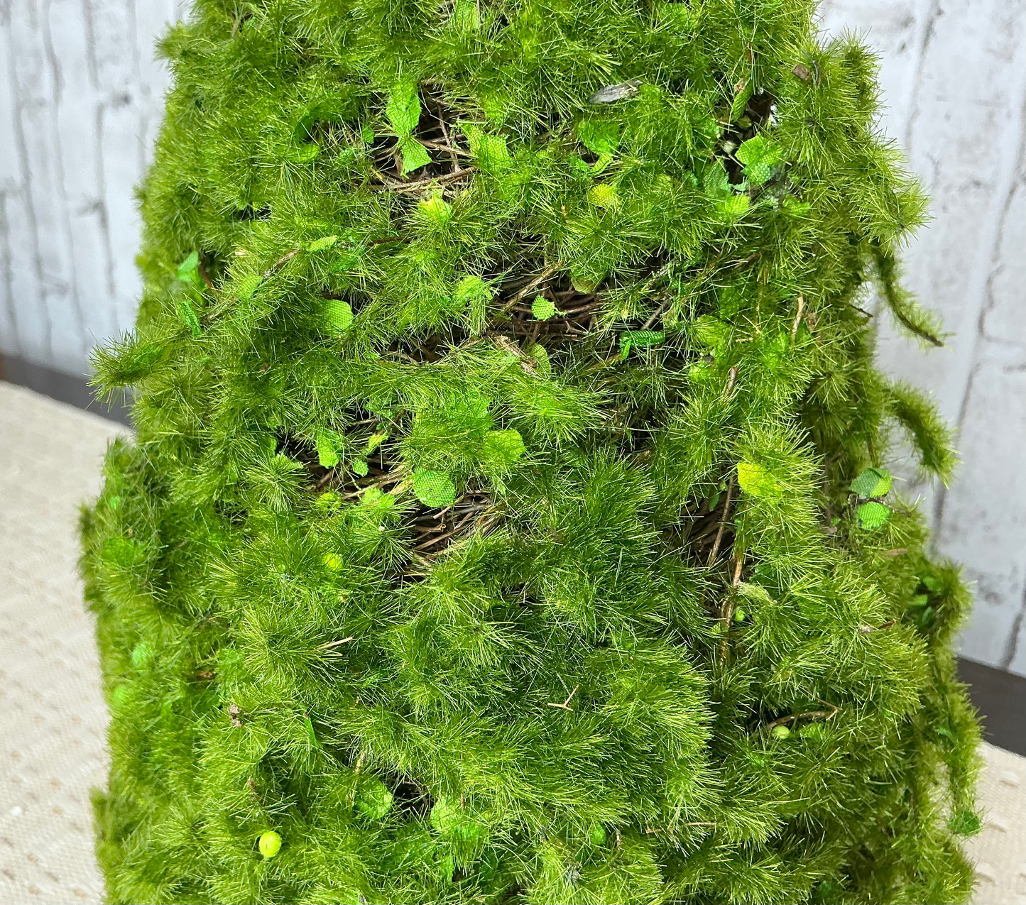 Moss cone tree, MTF24149