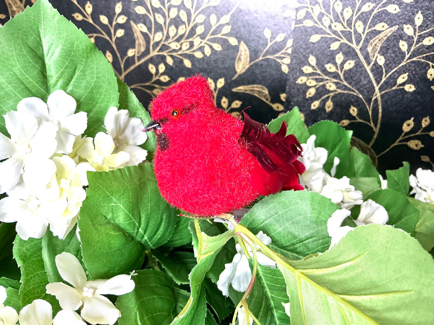 Cardinal, 91662