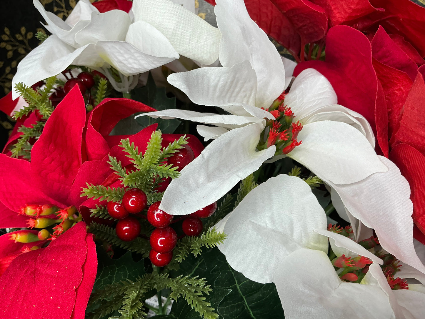 Poinsettia Bush, 85356-WTRD