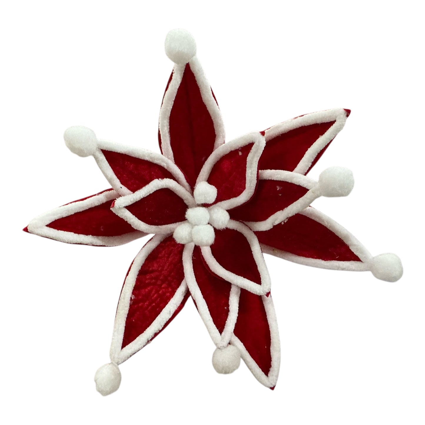 Red/White Pompom Poinsettia, 104081