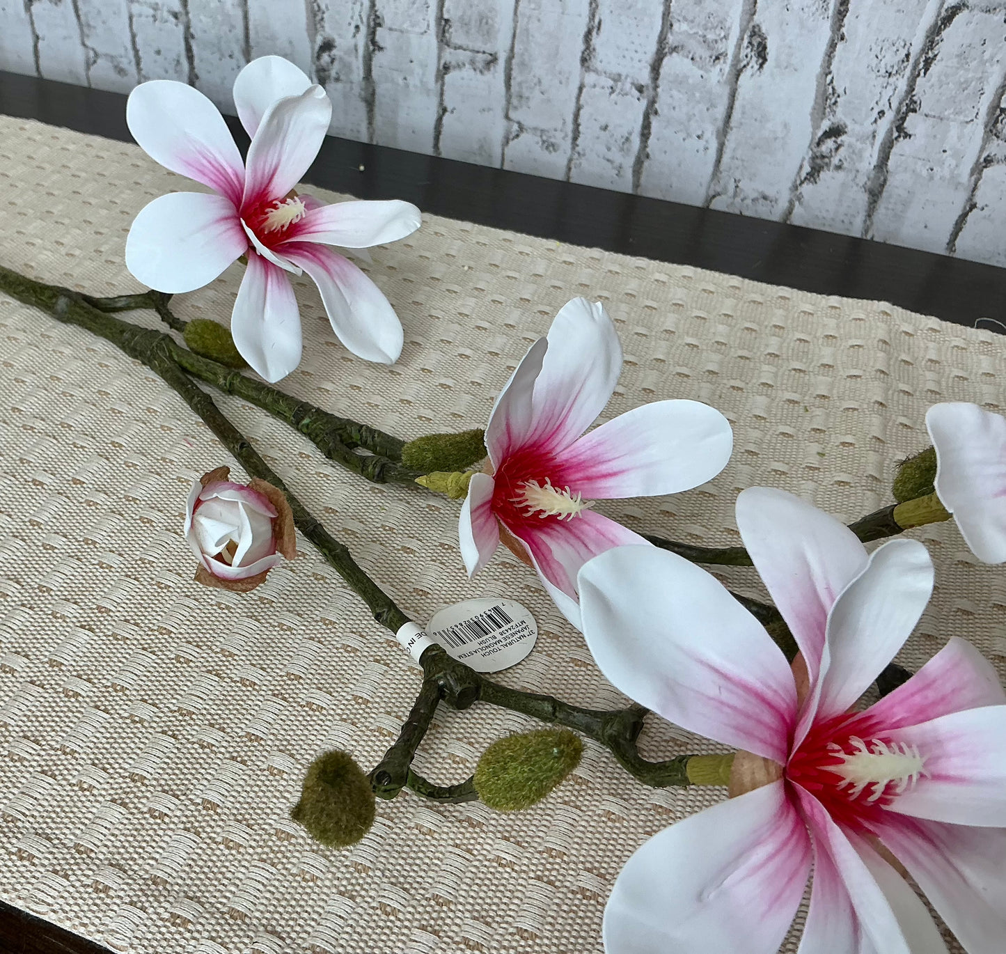 Natural touch Japanese magnolia stem, MTF24438