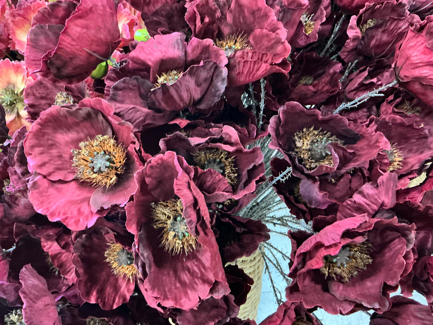Tall Poppy Spray - Burgundy