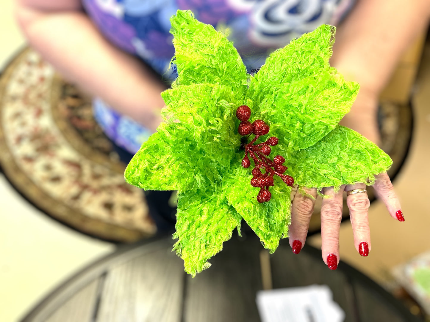 Furry Poinsettias, XS410251