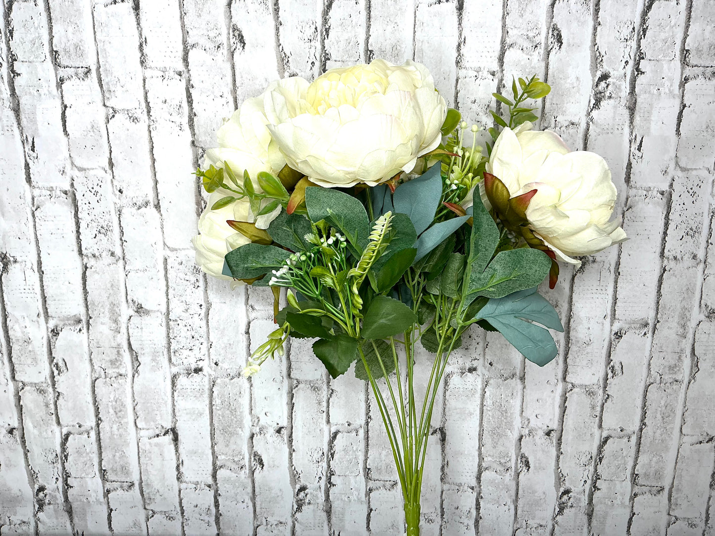 Cream Peony Bush, FB194537