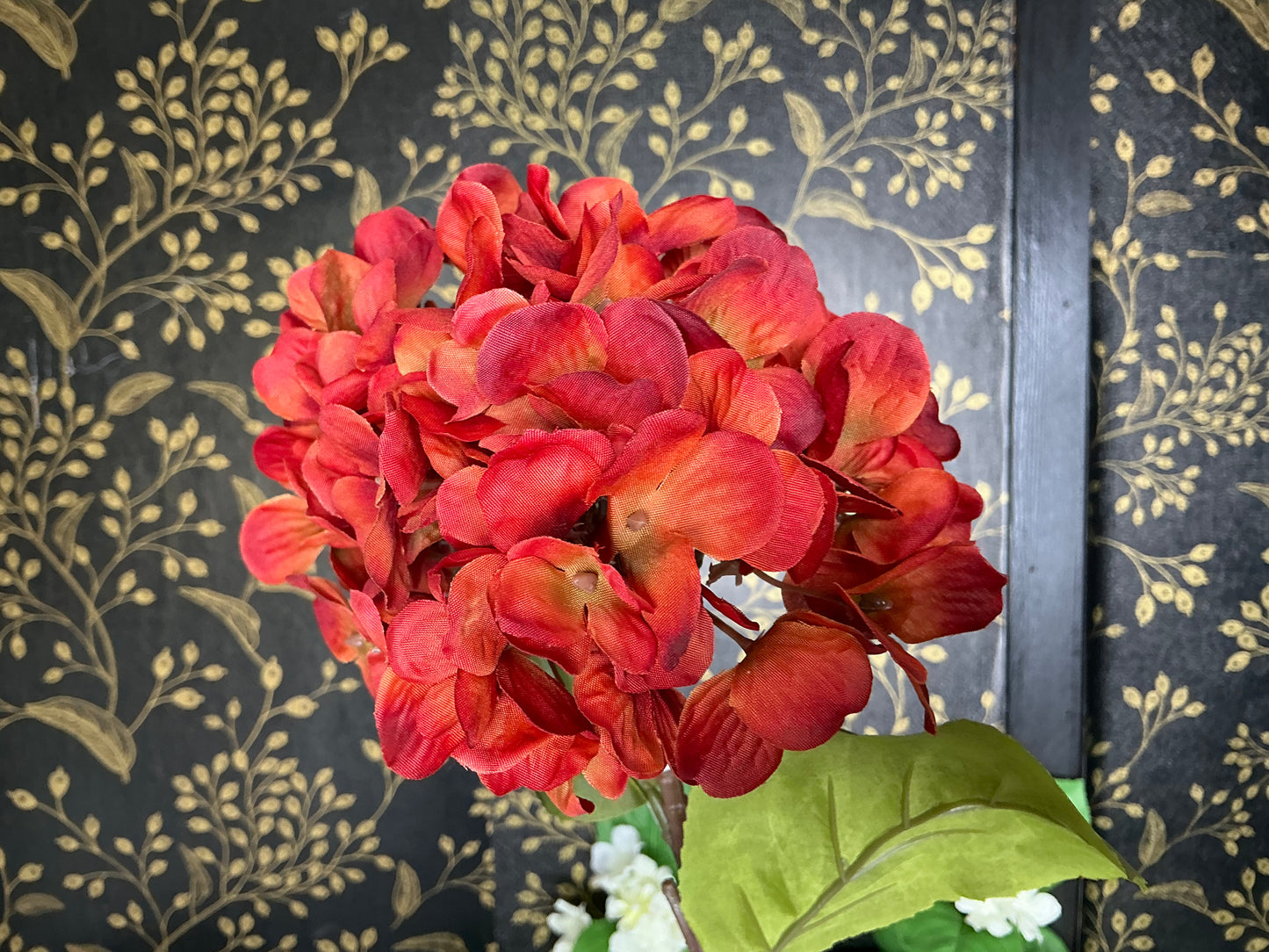 Rust Hydrangea Stem