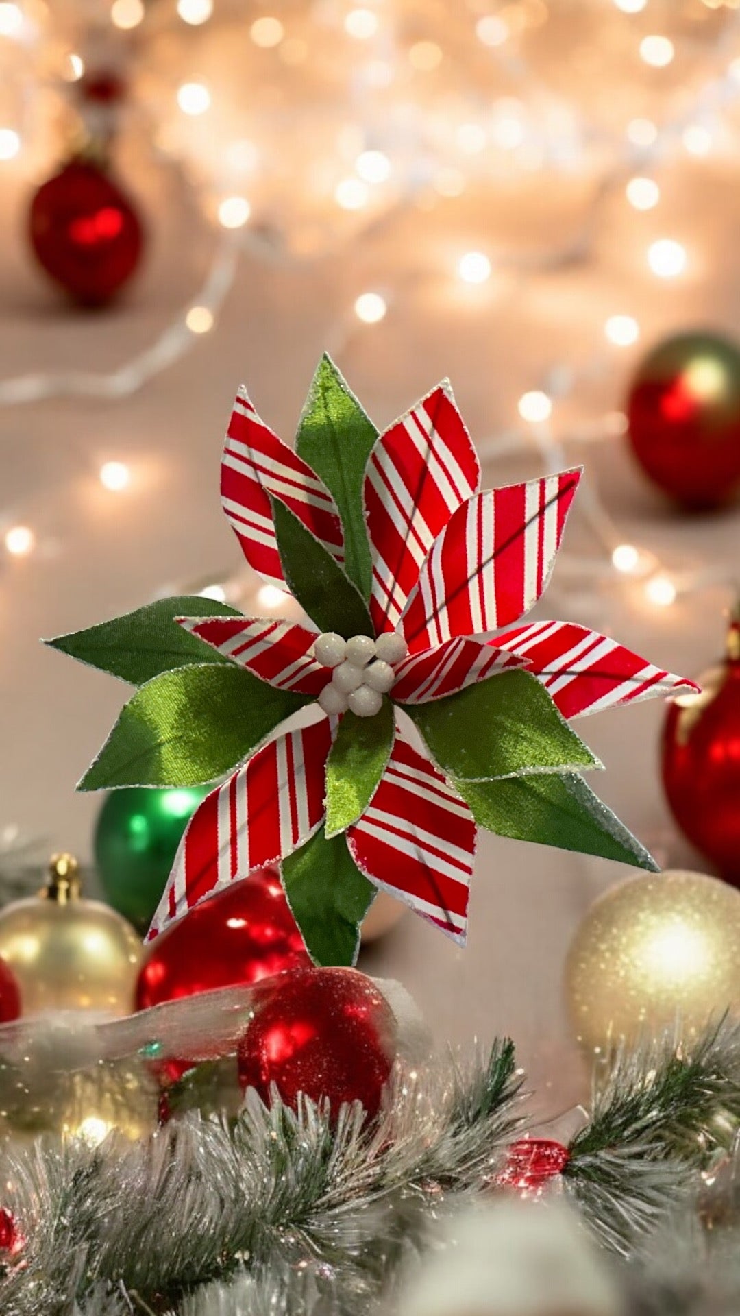Green with red/White stripe Poinsettia, 187397