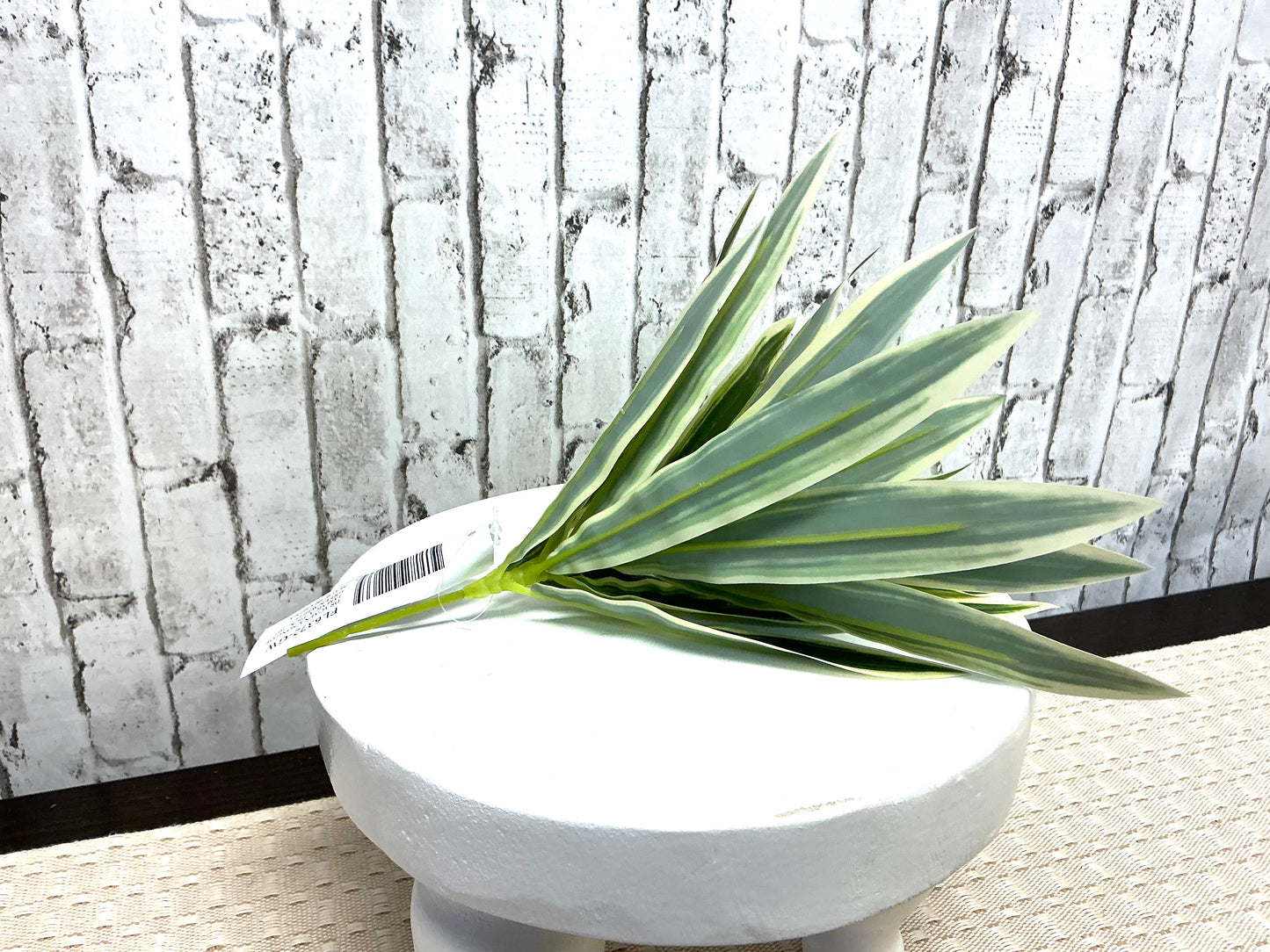 Dracaena “Song of Jamaica” Pick, 10”, Tropical Greenery, FL6372
