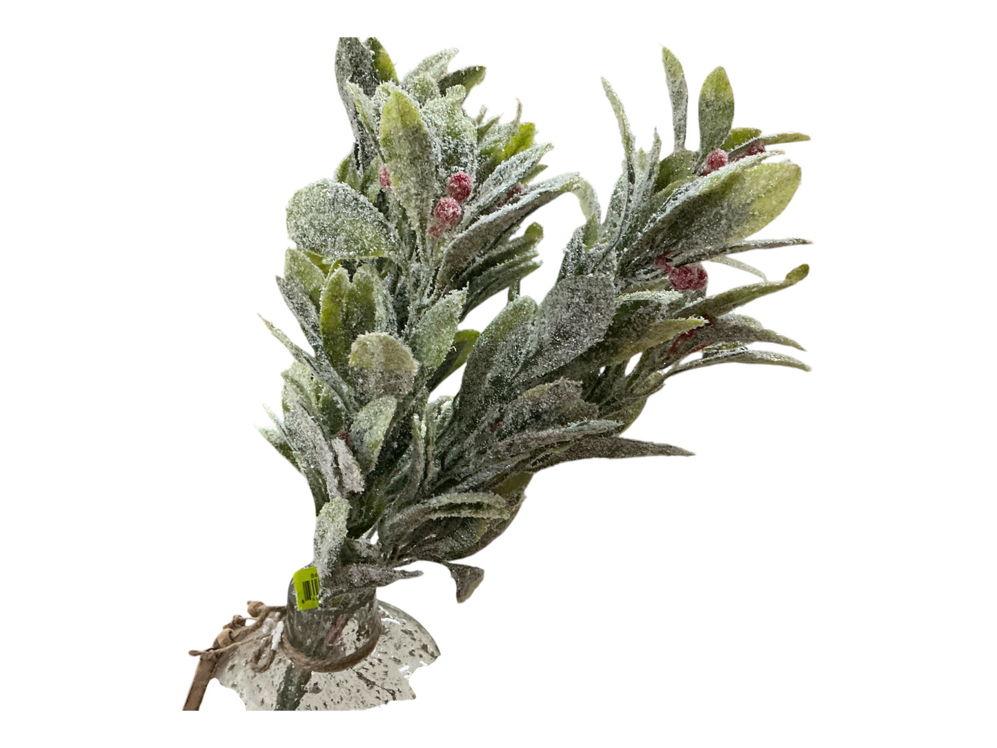 Berry leaves Bush, 84962FROST
