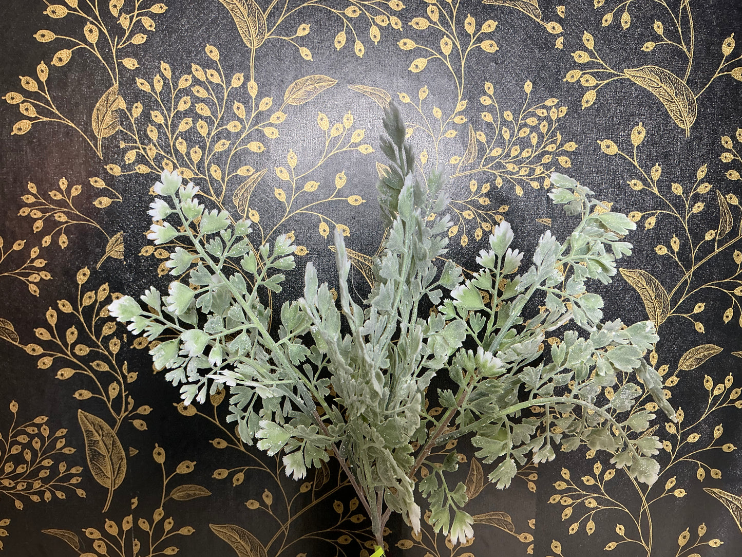 Maidenhair Fern pick, XP551116-063