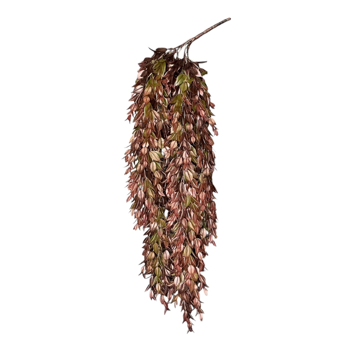 Copper Hanging Ruscus Bush