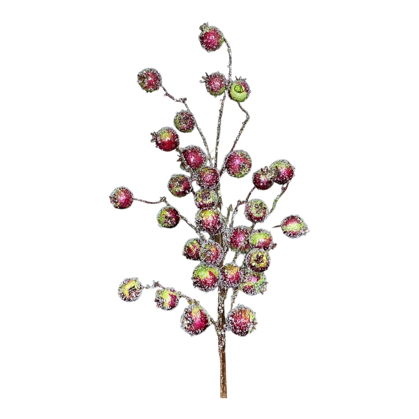 Beaded Pomogrante Spray