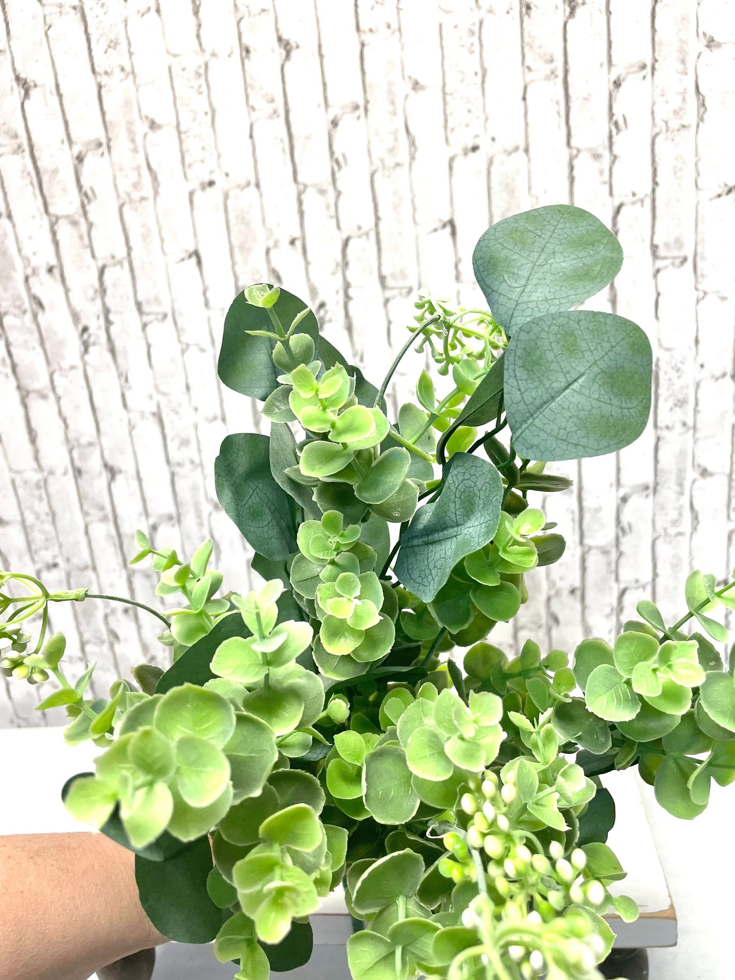 Eucalyptus bush, eucalyptus silver dollar bush, 13533BU20, greenery bush, spring greenery, summer greenery, everyday greenery
