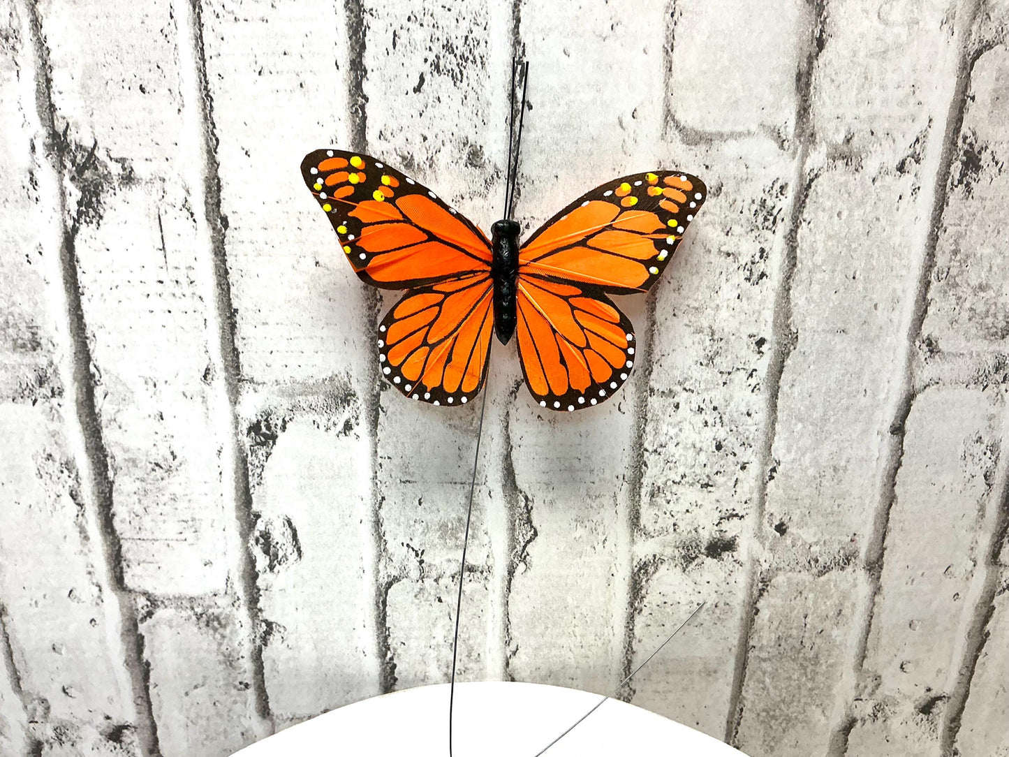 Monarch Butterfly Box, 12 Butterflies included, each has 10” Wire, MB9777