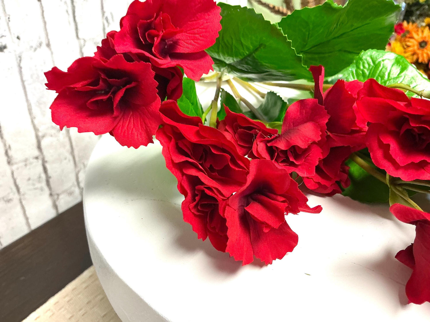Summer Reiger Begonia, 17”, UV Protective, Red, MTF24522