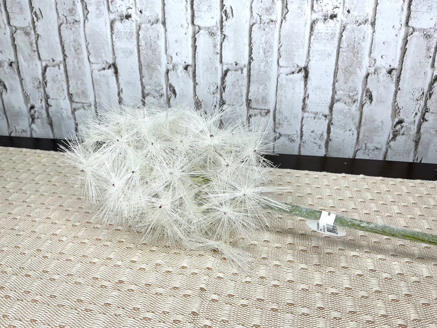 Cone Dandelion Stem, MTF24452