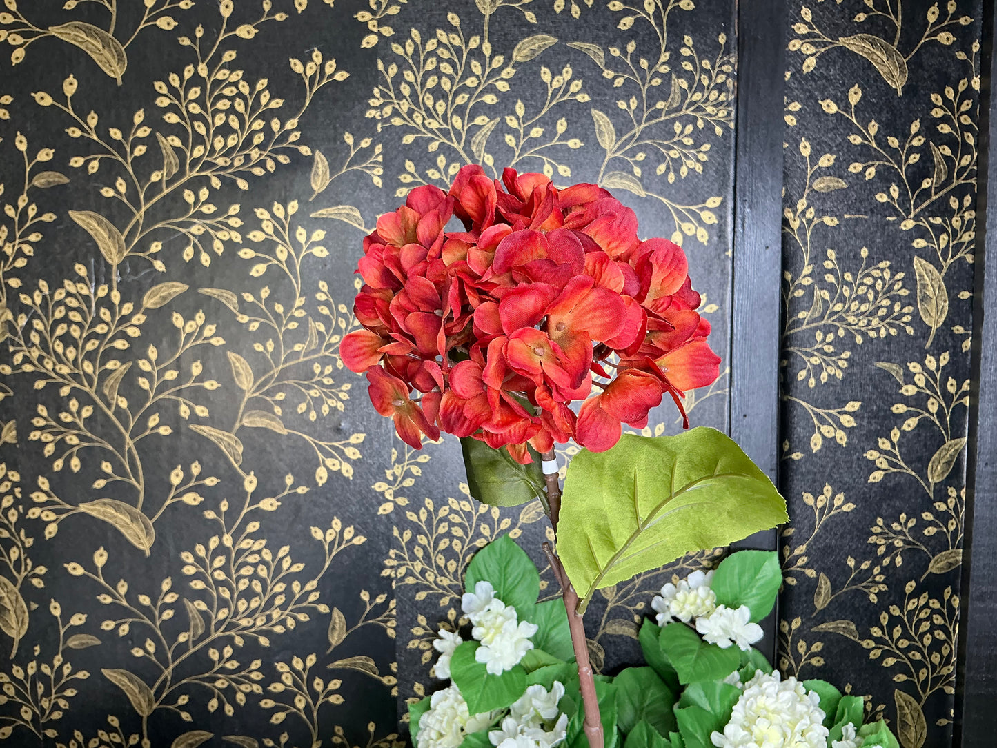 Rust Hydrangea Stem