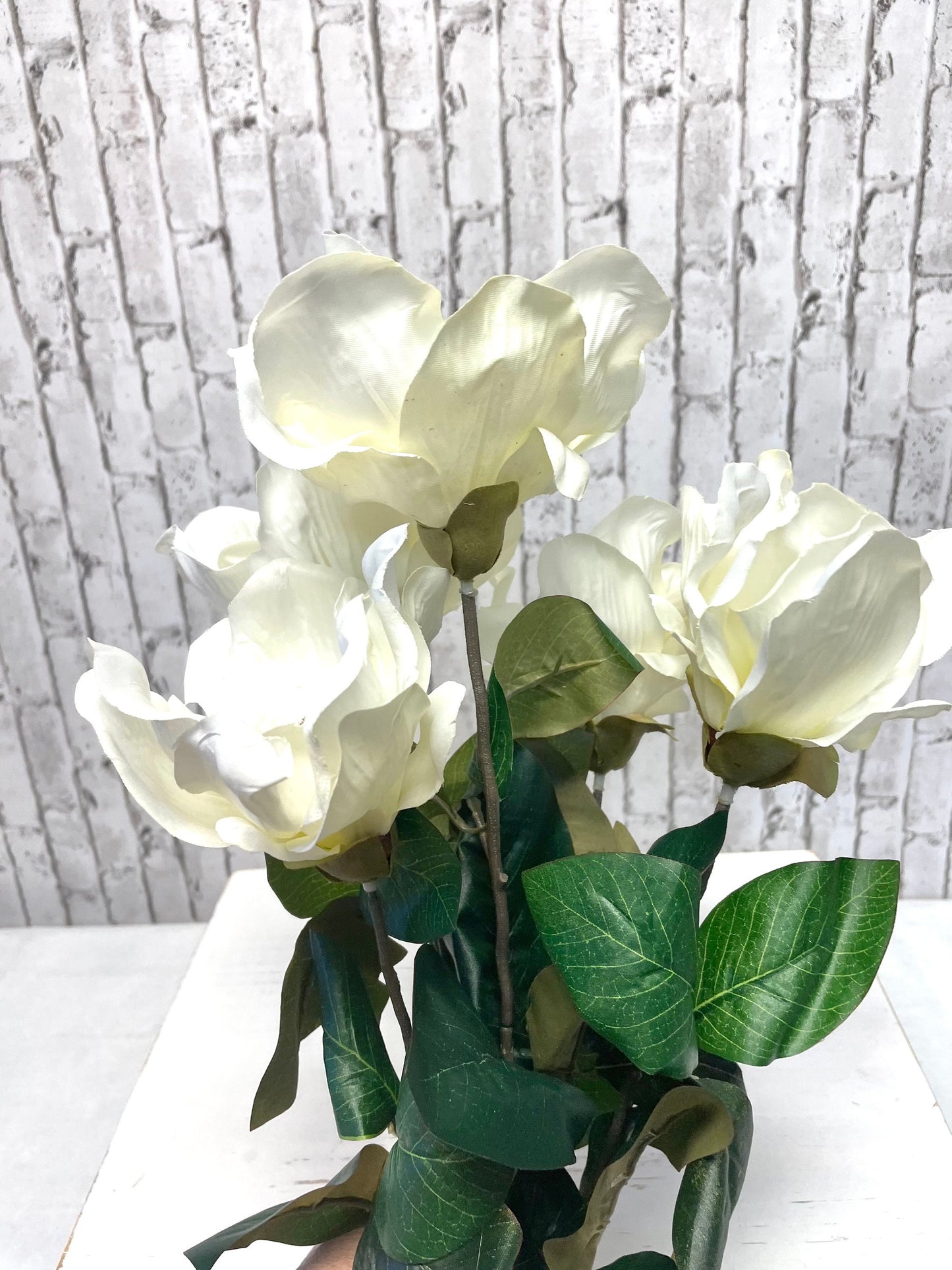 White silk magnolia bush, 30494CM