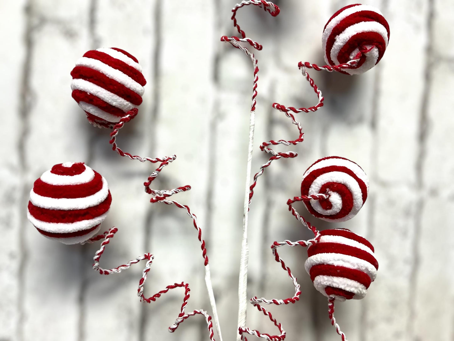 Striped Yard Ball Curly Spray, Red and White, Peppermint, XS117832