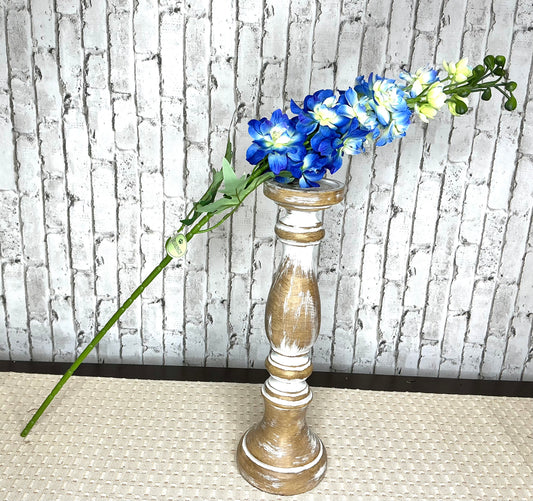 Delphinium, MTF24157