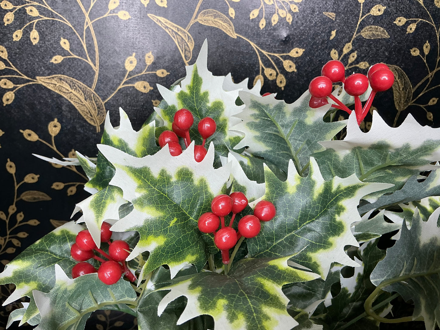 Holly bush, 80093-GNWT