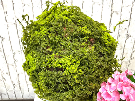 10” Moss Ball, 4512787