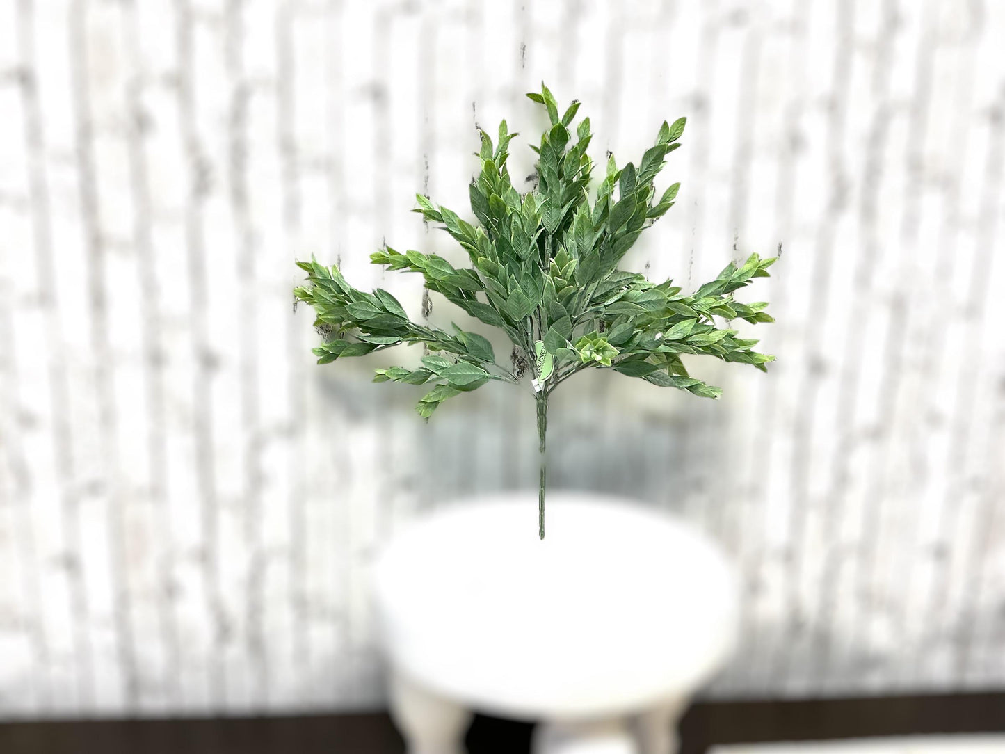 Plastic Ruscus Bush, 15”, Artificial, MTF19669