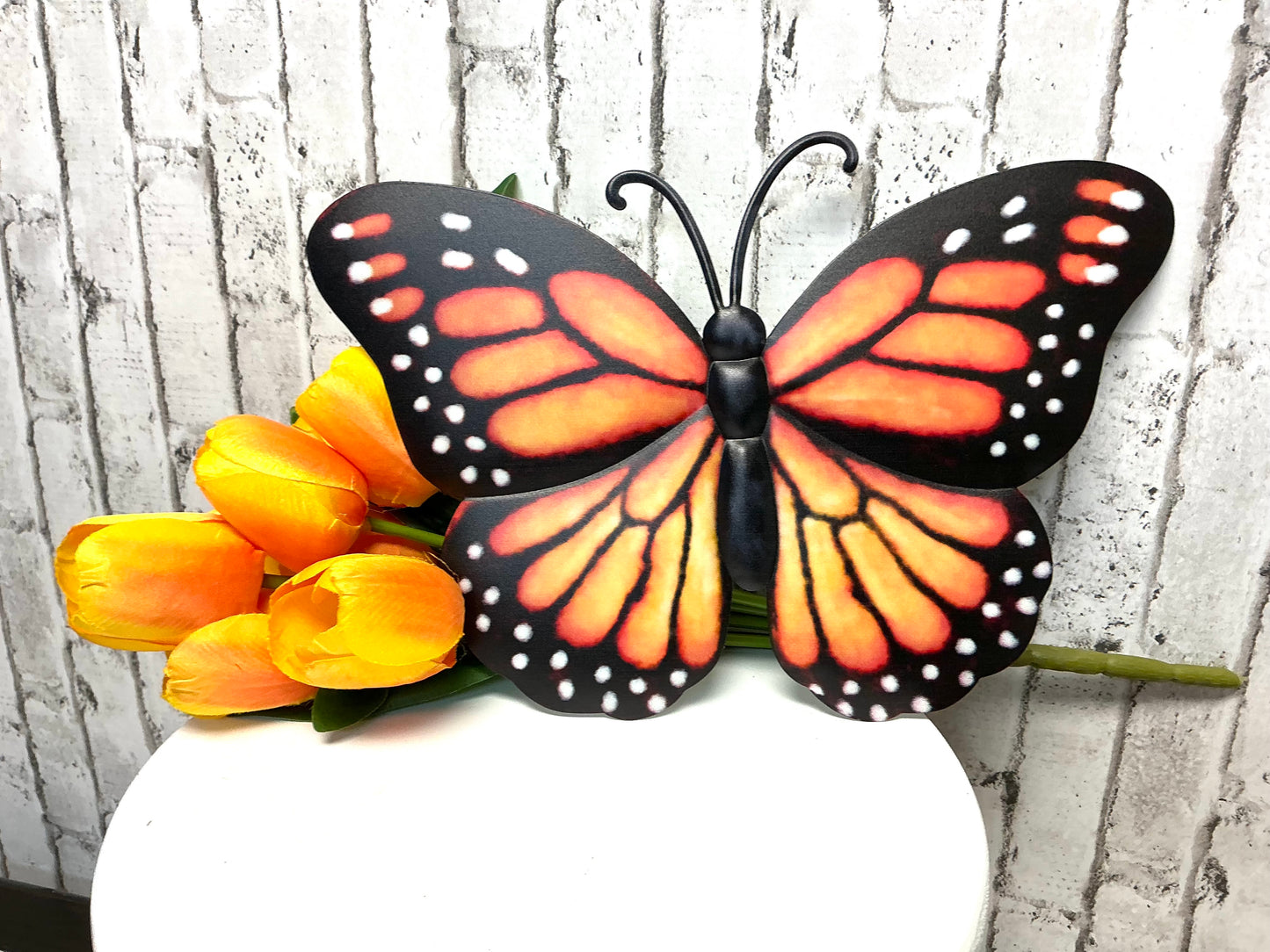 Monarch butterfly sign, MD079844