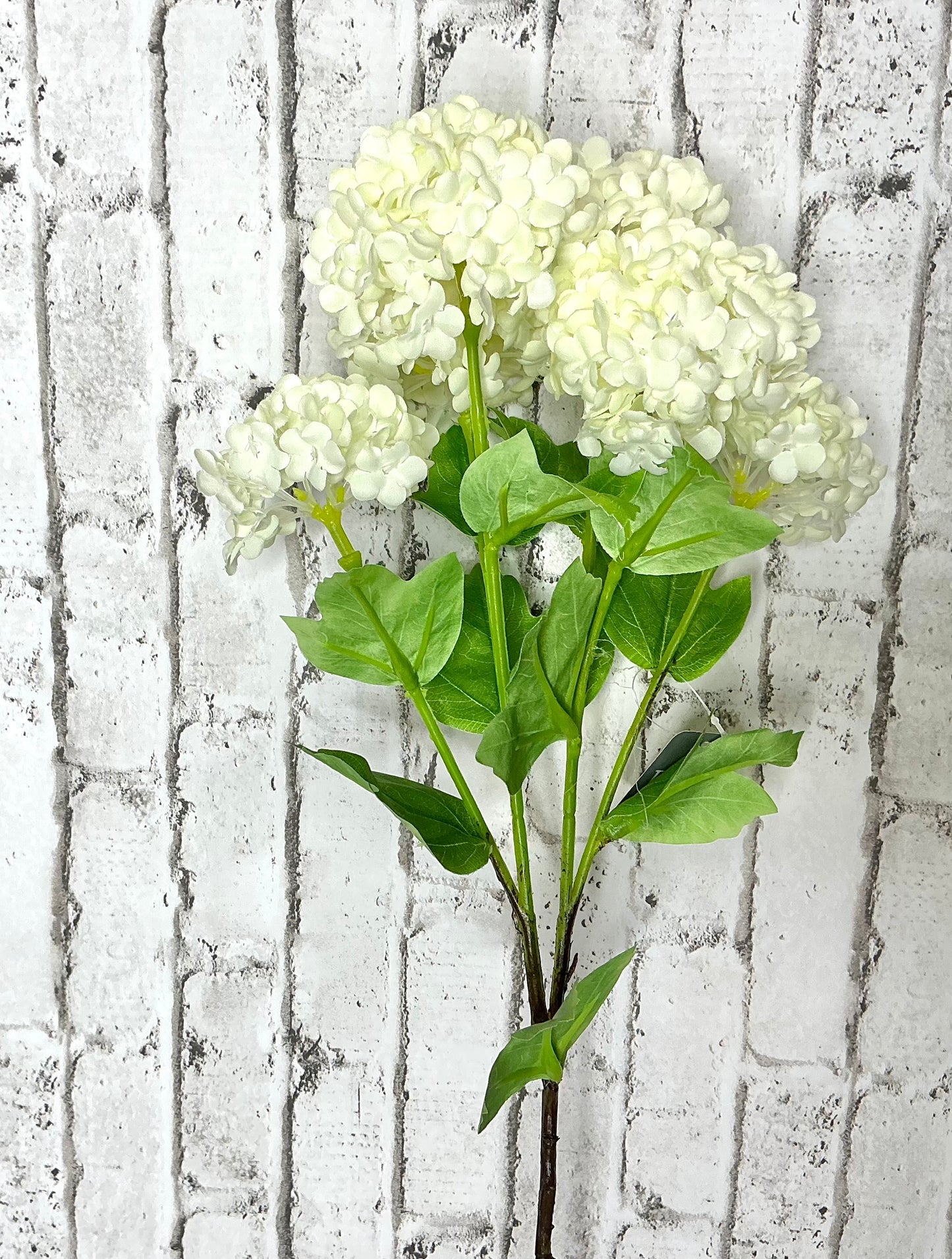 White Hydrangea Spray, F4522689