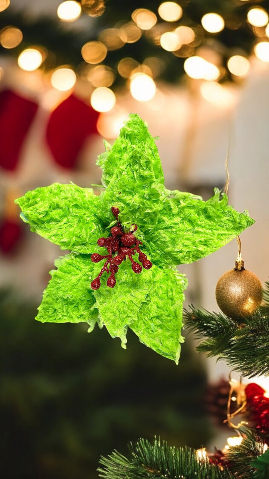 Furry Poinsettias, XS410251