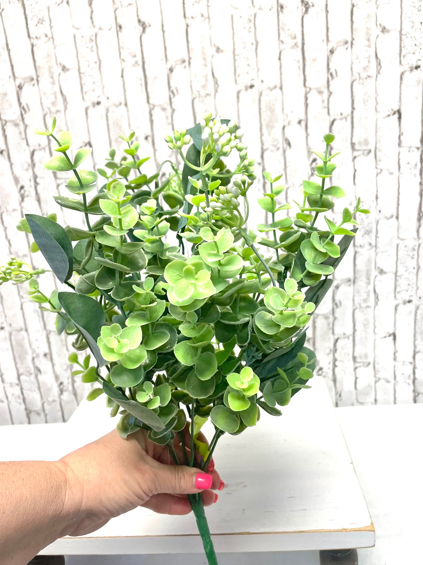 Eucalyptus bush, eucalyptus silver dollar bush, 13533BU20, greenery bush, spring greenery, summer greenery, everyday greenery