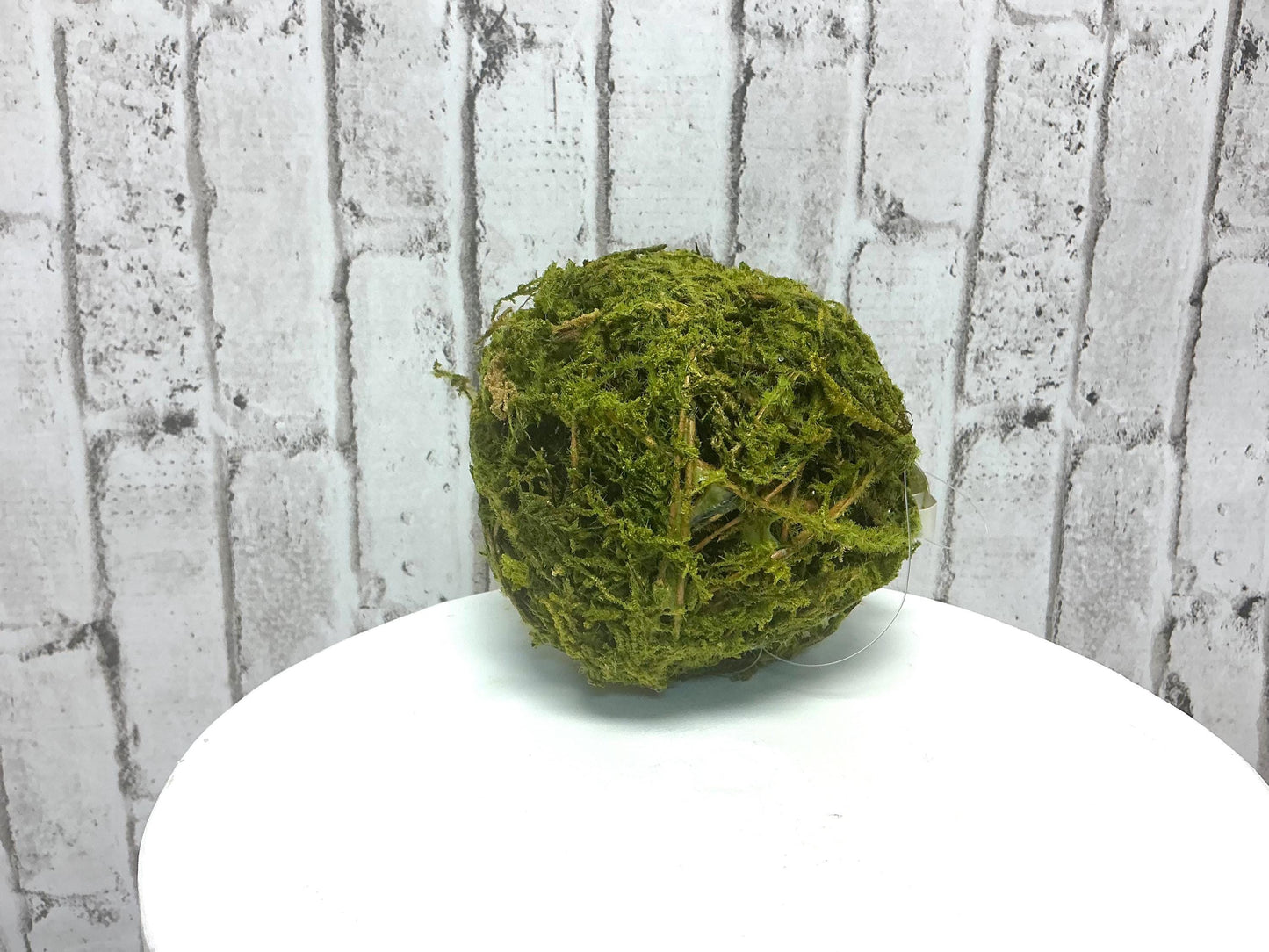 4” Moss Vine Orb, AC223/4