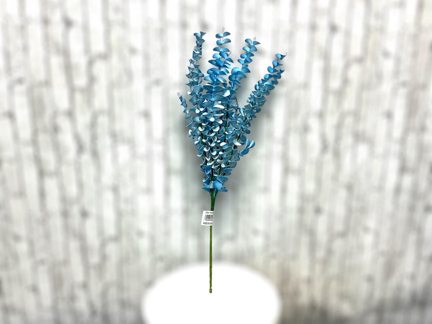 Blue Eucalyptus Bush,FH804803