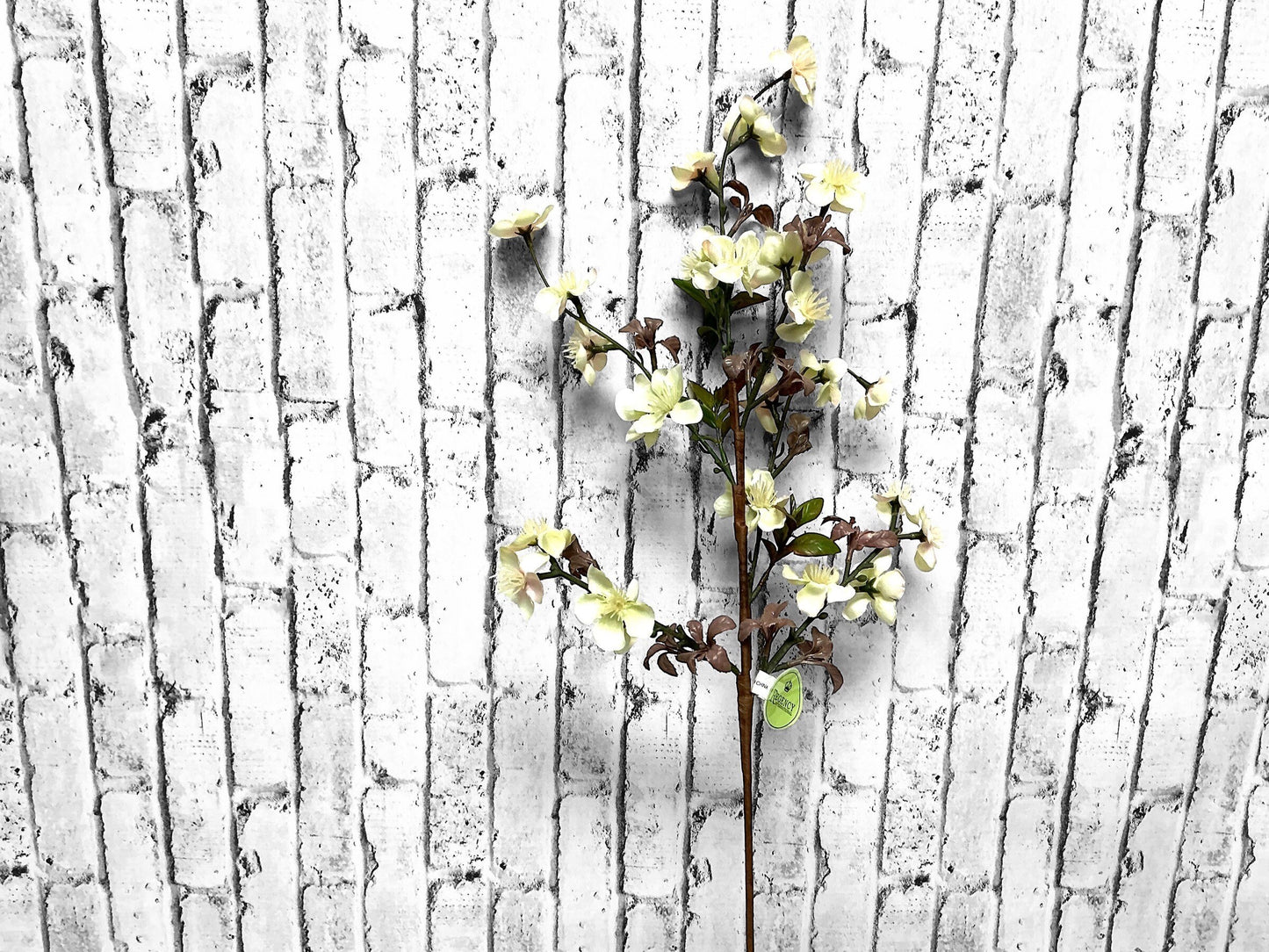 Plum Blossom Pick, 21”, Cream/Blush, MTF22444