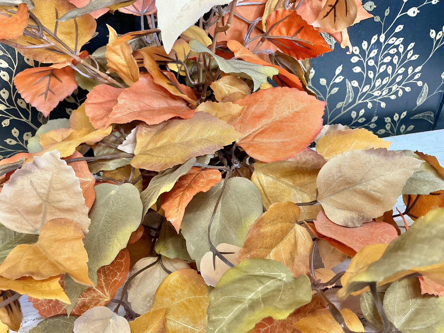 Witch hazel leaf bush, FL6273-CAR