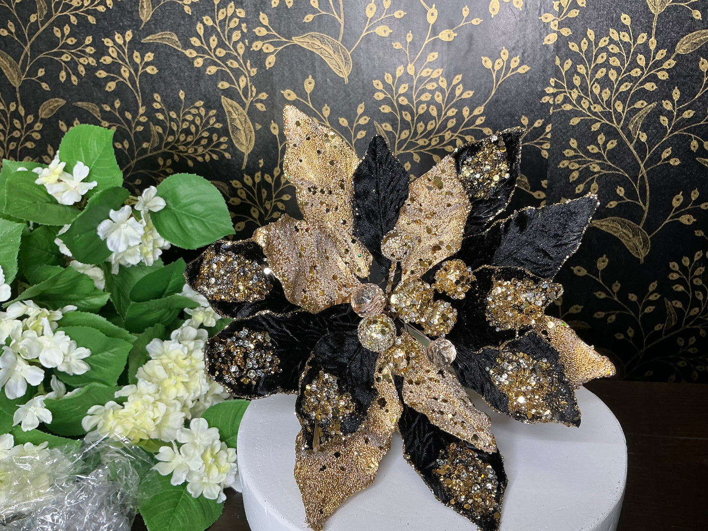 Black and Gold Poinsettia, MTX72651