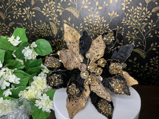 Black and Gold Poinsettia, MTX72651