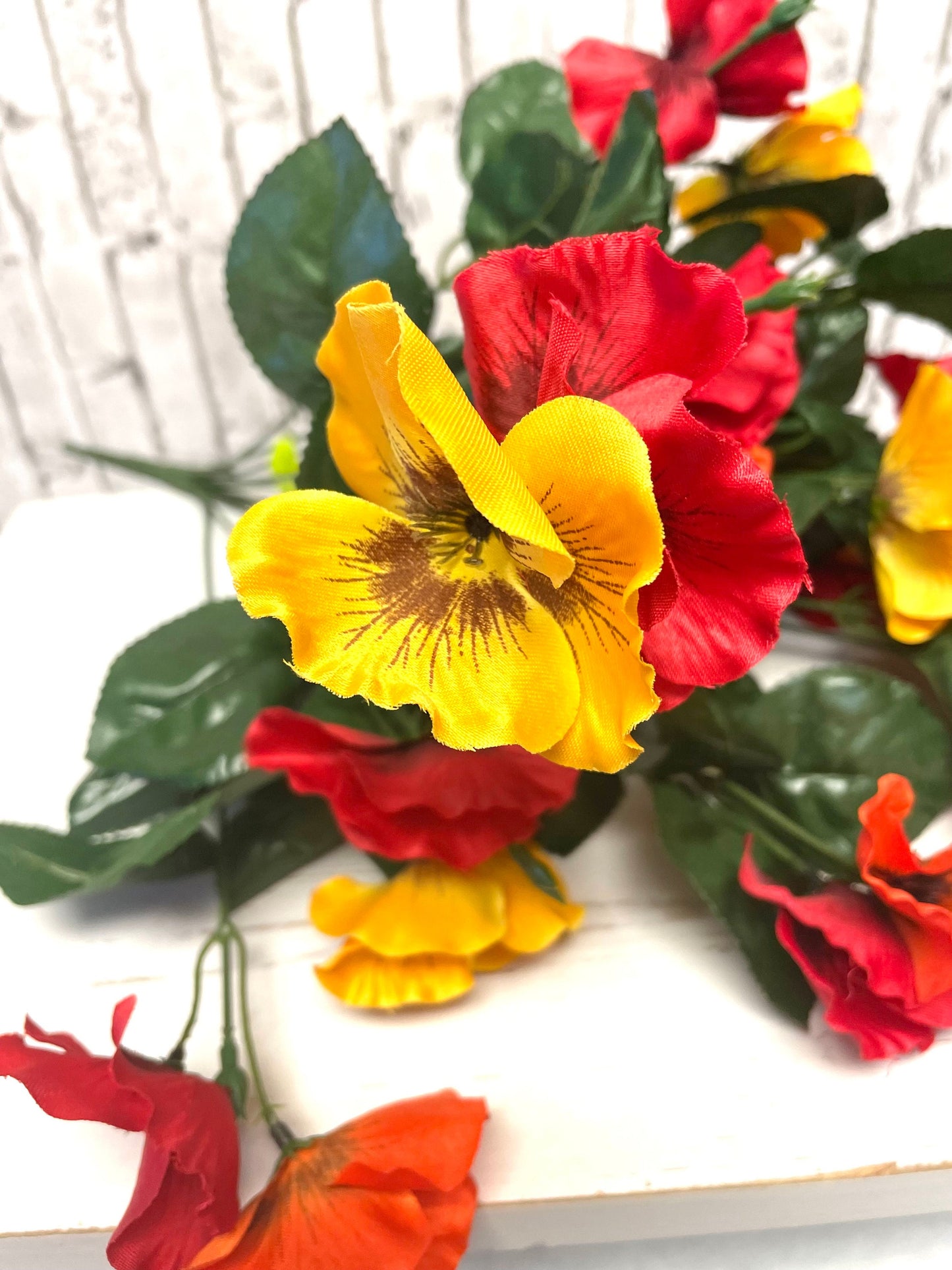 Satin pansy bush, 35103RDYWOR, orange pansy bush, pansy bush, fall pansy bush, spring bush, summer bush