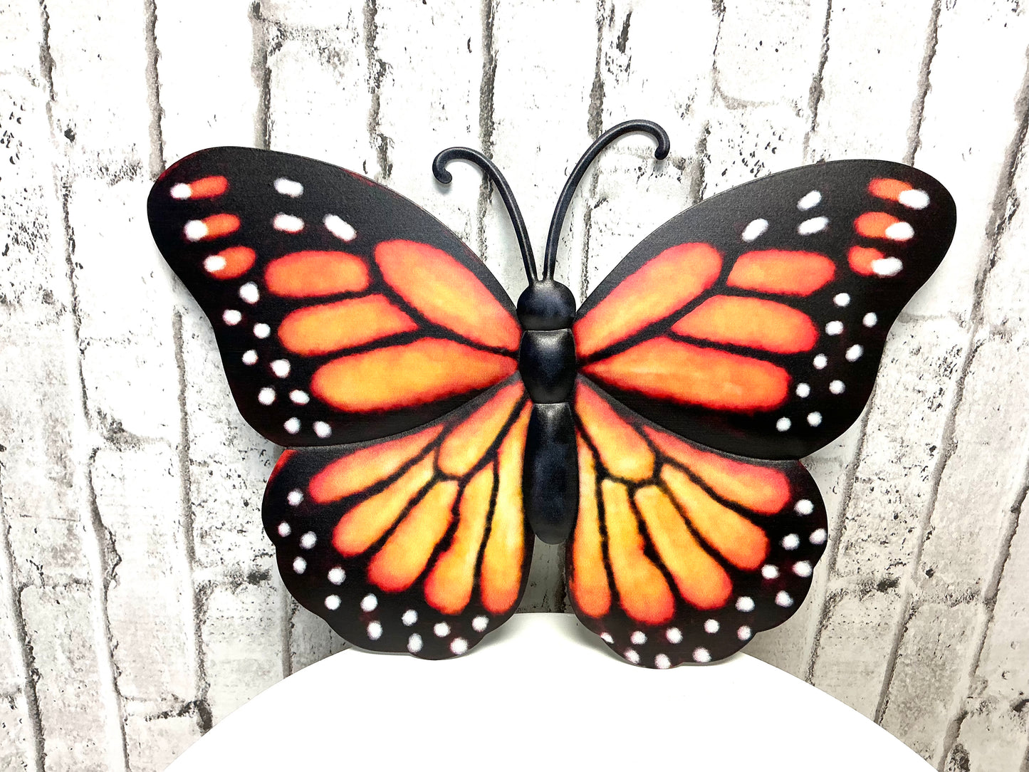 Monarch butterfly sign, MD079844