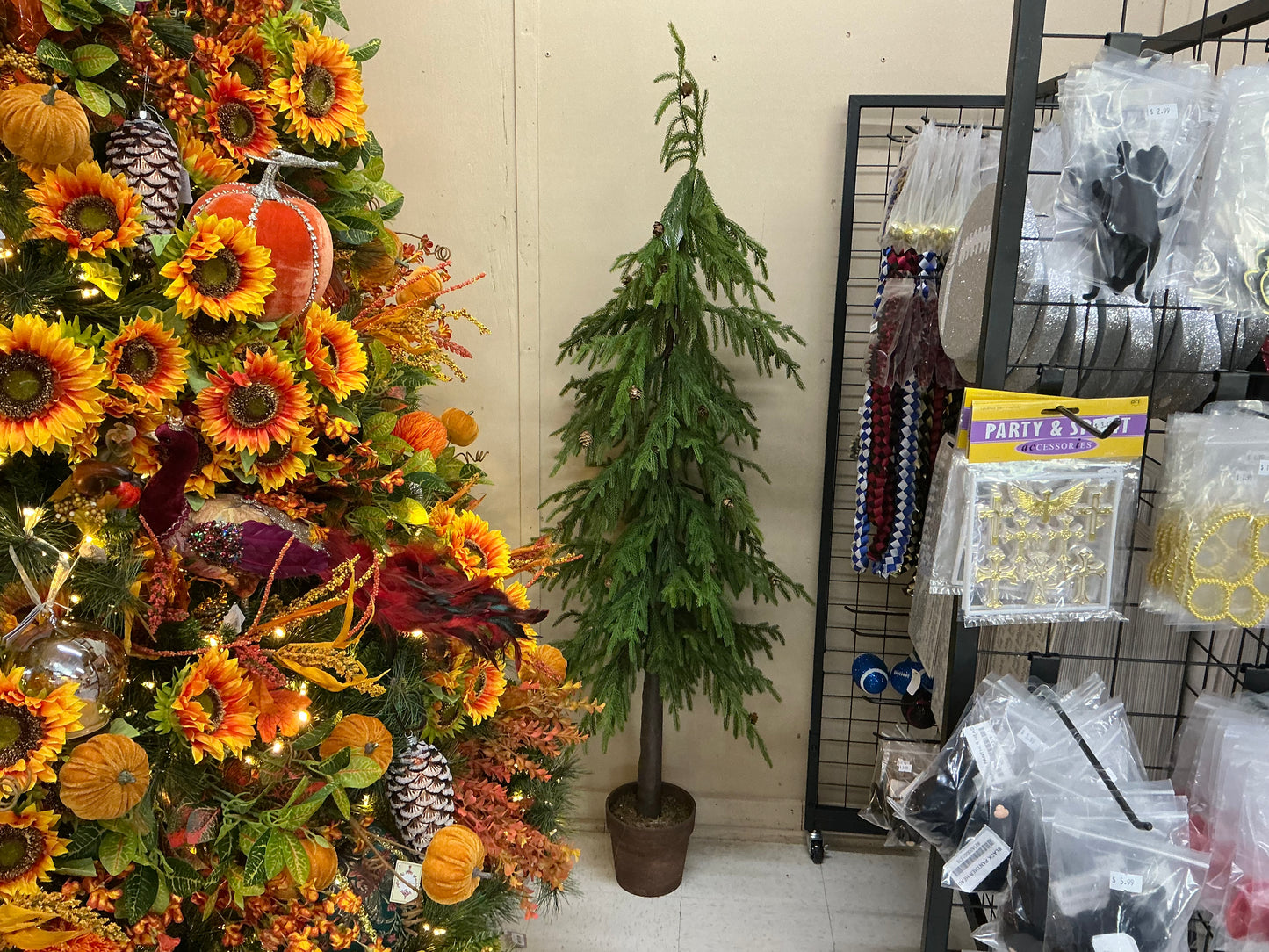 Potted soft touch Norfolk pine tree, 60”, MTX74091